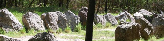 jardin aux moines sito megalitico nella foresta di Brocéliande
