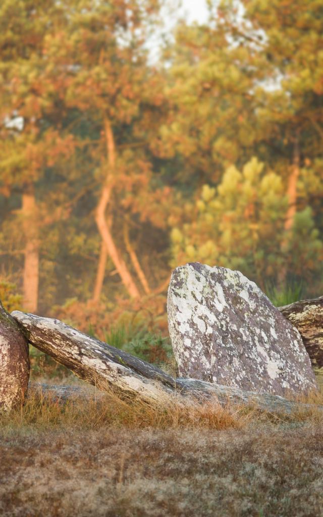Menhir di Monteneuf