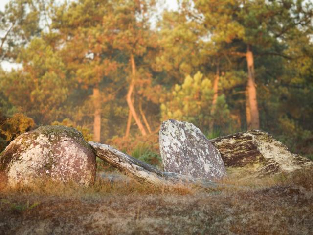 Menhires de Monteneuf