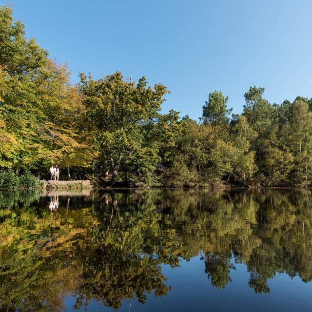 wandeling in de vallei van waaruit niemand terugkeert en ontdekking van de feeënspiegel