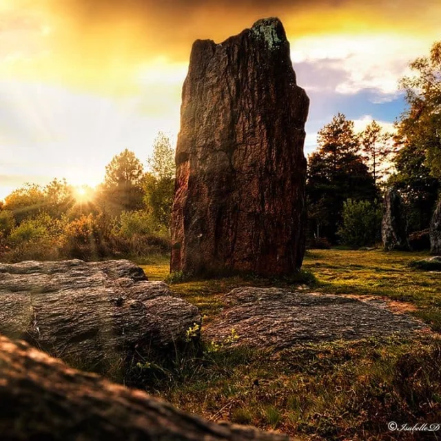 Instagram #broceliande
