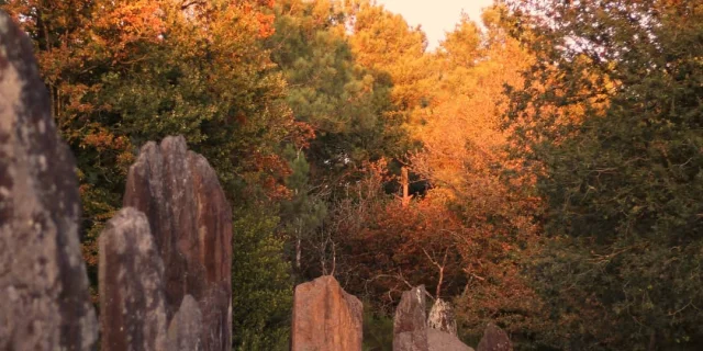 Menhirs de Monteneuf