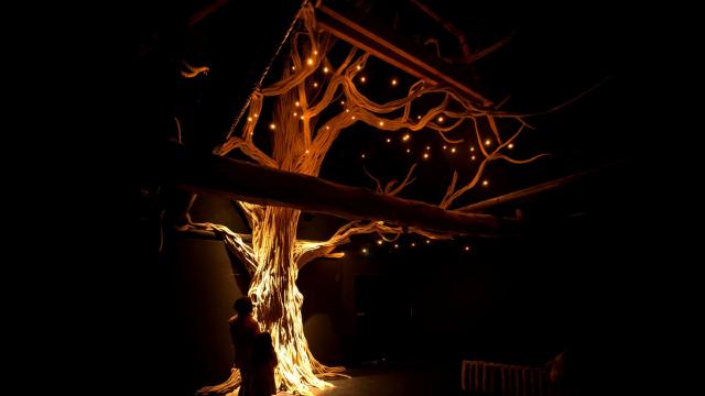 Arbre maitre, la Porte des Secrets