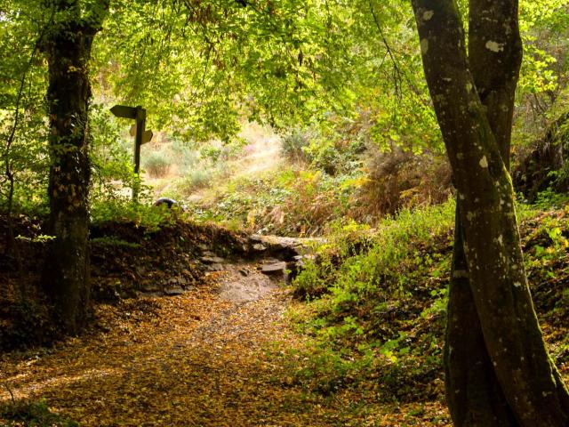 Brocéliande bosque otoño, Val sin retorno