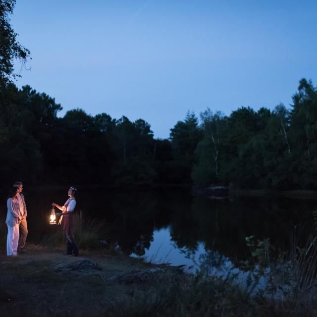 Wezens van de nacht