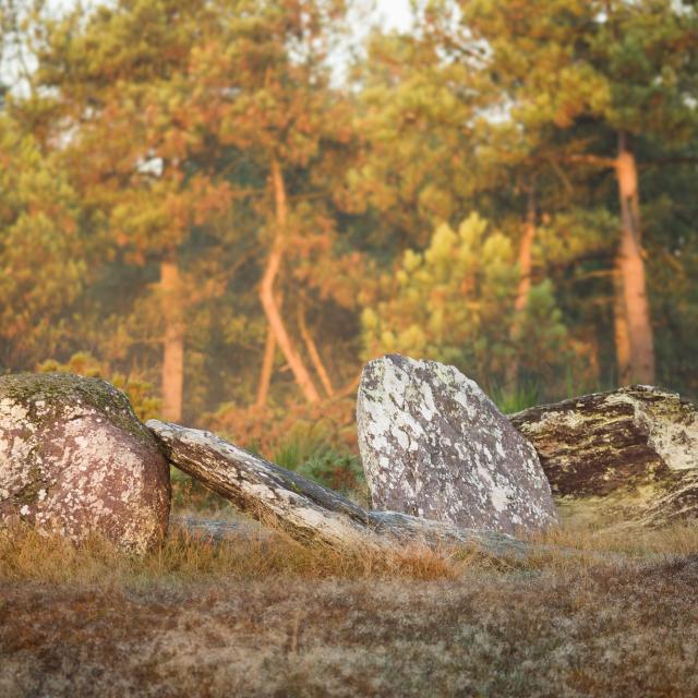 Menhirs De Monteneuf