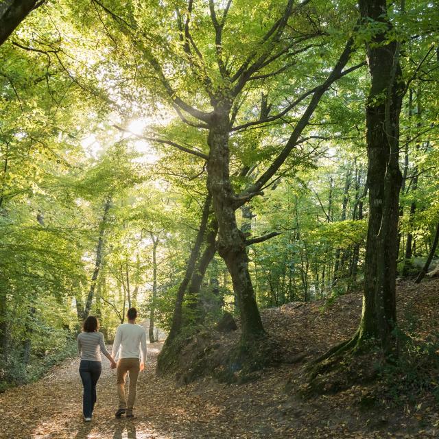 balade dans le val sans retour et découverte de la forêt de Brocéliande
