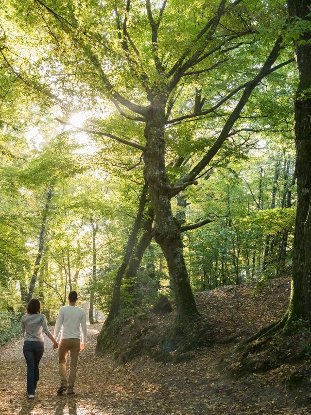 balade dans le val sans retour et découverte de la forêt de Brocéliande