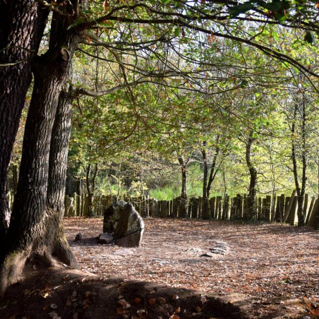 tombeau de Merlin, automne.