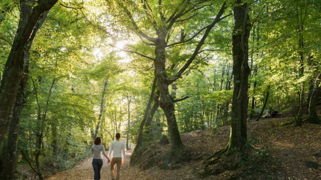 een wandeling in de vallei des onheils en ontdekking van het bos van Brocéliande