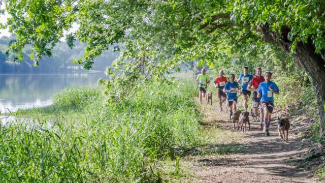 Cani trail au lac au duc - Festival Brocéliande sport nature