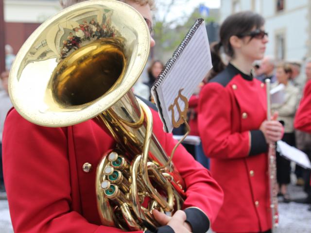 Carnaval Ploërmel fanfare