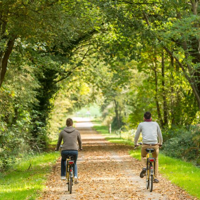 voie verte brocéliande bike tour