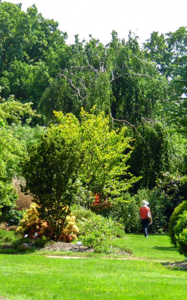 Jardinsbroceliande2016 Promenade