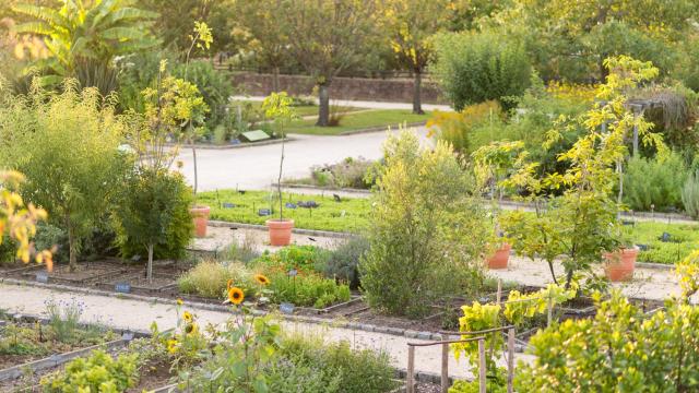 Botanische tuin Yves Rocher La Gacilly