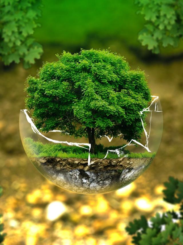 environmental-protection-326923-1920.jpg