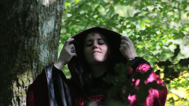 Harmonie, verhalenverteller in Brocéliande