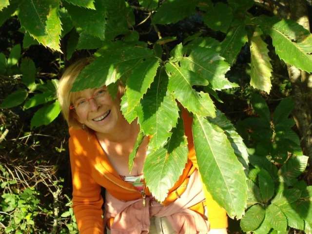 Lindylou conteuse enbrocéliande