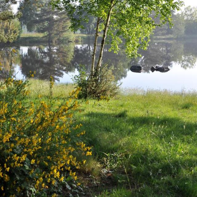 La Marette en St Malon sur Mel