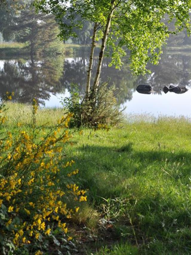 La Marette à St Malon sur Mel