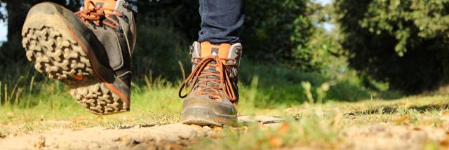 Groene wandeling in Breteil