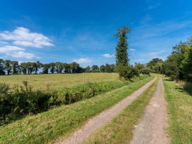 Campagne Concoret
