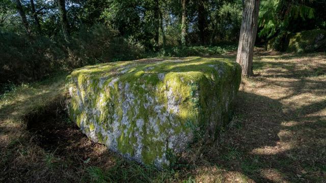 Roches de Trebran - Concoret - Morbihan
