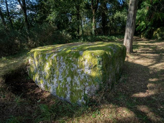 Roches de Trebran - Concoret - Morbihan