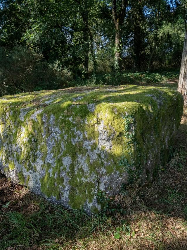 CPRB-DSC04836-MRIVRIN