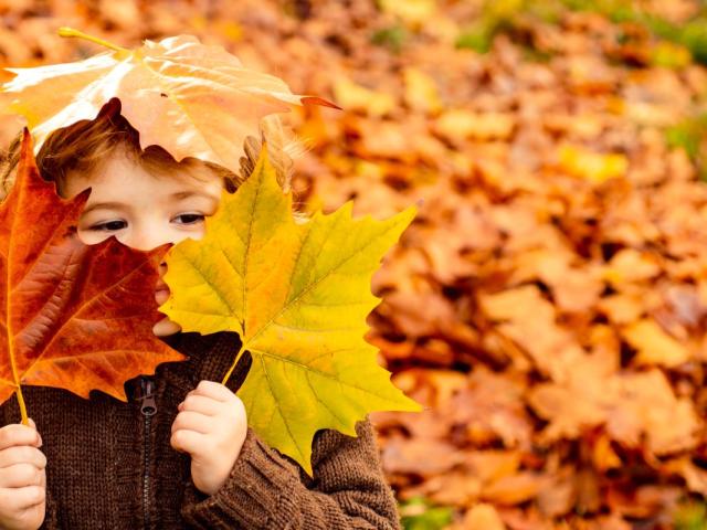 otoño familia niños