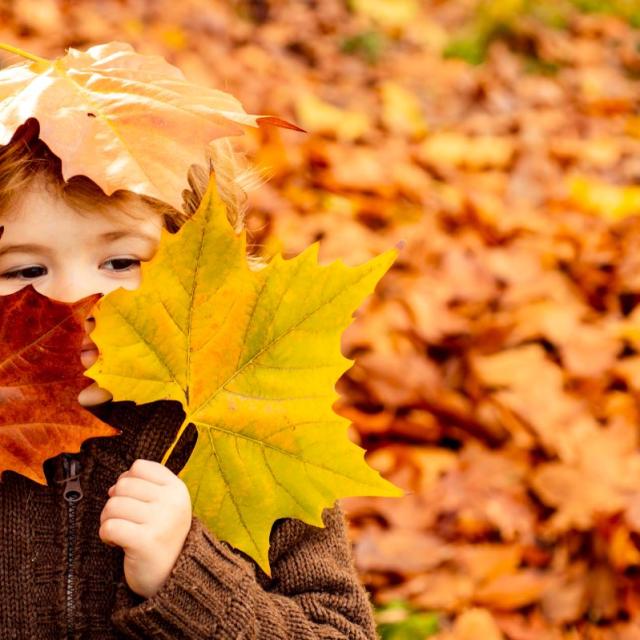 Herbst Familie Kind