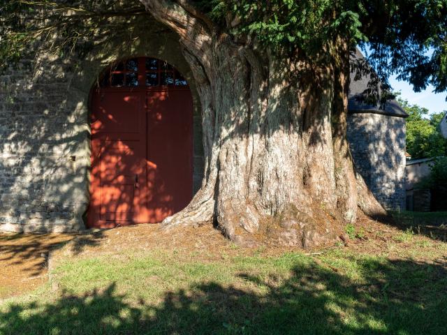 Chapel Ifm. Rivrin