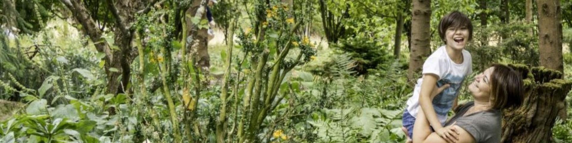 Jardines de Brocéliande, la Rocaille