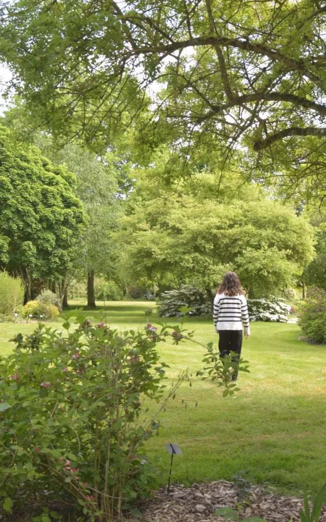 Jardinsbroceliande 2022