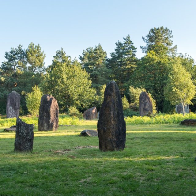 Yacimiento megalítico de Menhirs Monteneuf