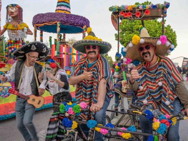 Carnaval Nocturne Ploermel Le Ploermelais 10