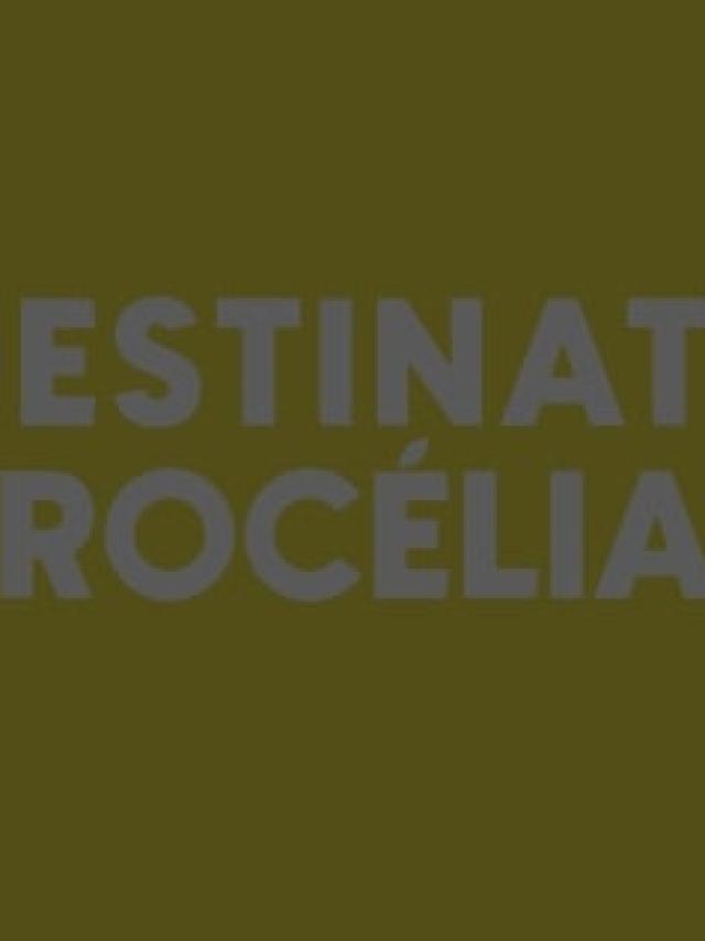 Destinationbroceliandejaunecontraste