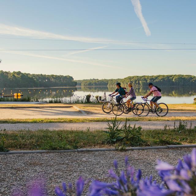 Vélo / VTT - Lac de Trémelin - Pays Pourpré - Destination Brocéliande
