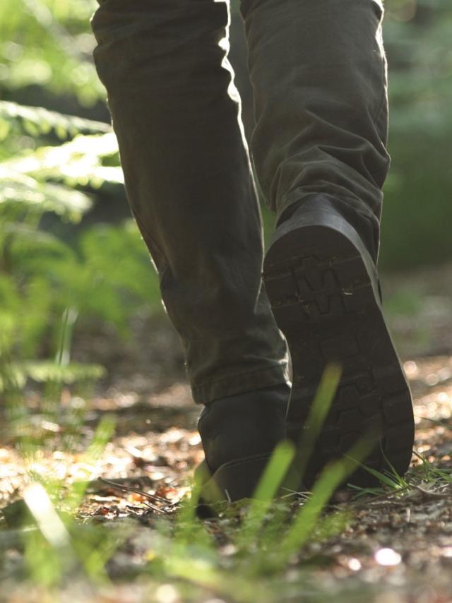 Rando Malestroit Guer La Gacilly