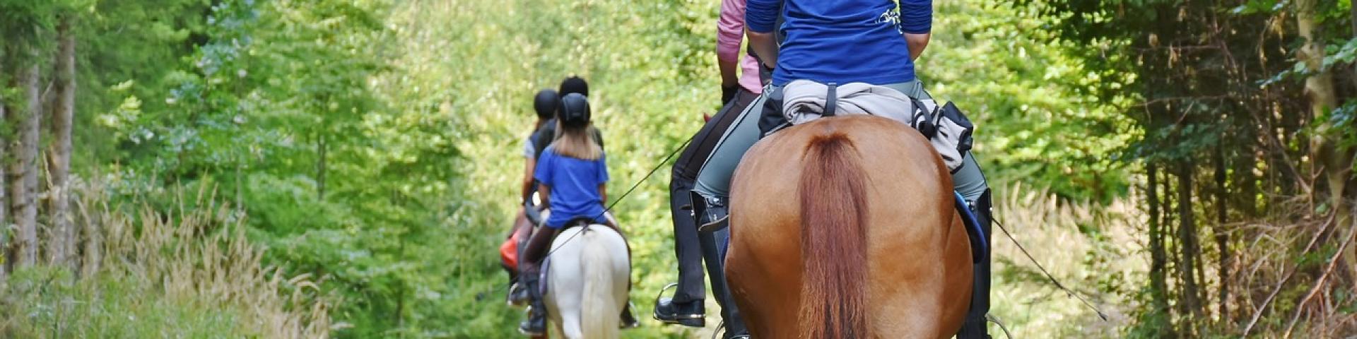 Balades A Cheval