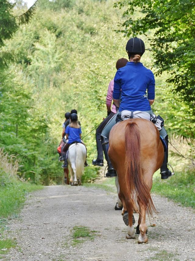 Horse Riding Credit Pixabay Royalty Free Images 5