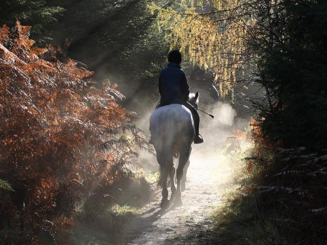 Balades A Cheval Credit Images Libres De Droit Pixabay 6