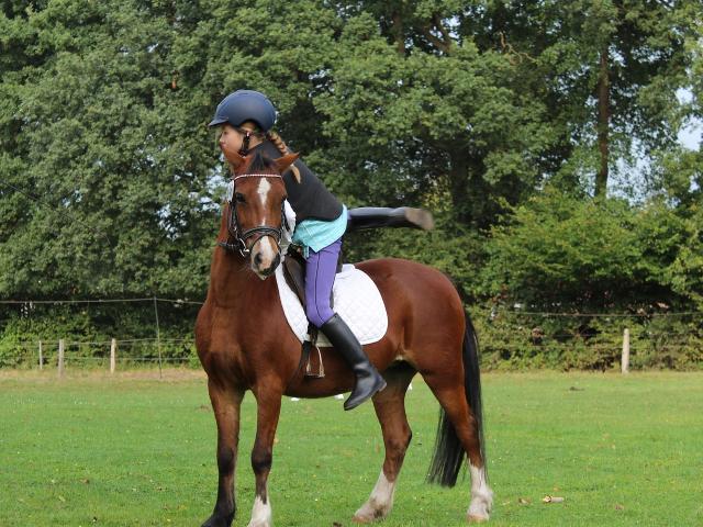 Balades A Cheval Credit Images Libres De Droit Pixabay 7