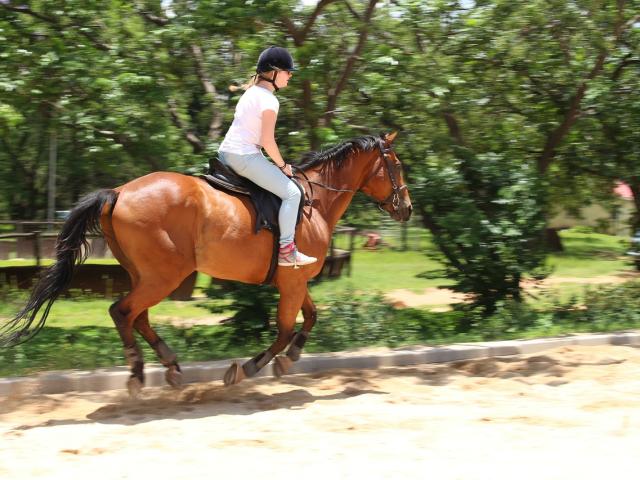Balades A Cheval Credit Images Libres De Droit Pixabay 8