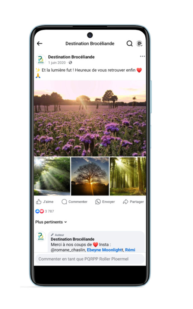 Publicación en Facebook para móviles
