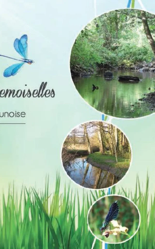 Sentier Des Demoiselles Pleumeleuc