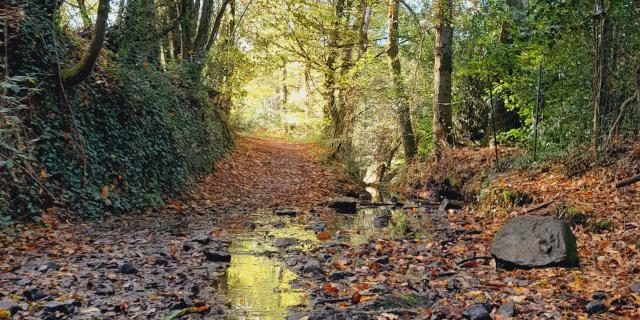 Trail Office De Tourisme Montfort Communaute Destination Broceliande 1