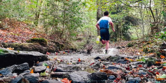 Trail Office De Tourisme Montfort Communaute Destination Broceliande 2