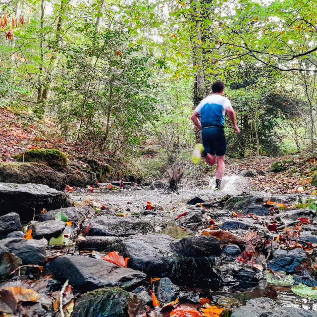 Trail Office De Tourisme Montfort Communaute Destination Broceliande 2