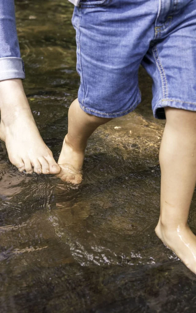 Jardins Broceliande Reveille Tes Pieds Photo Gaellebizeul Encejour 211
